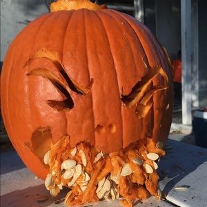 Meet your Posher, Jasmin